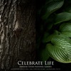 Celebrate Life（組み写真）