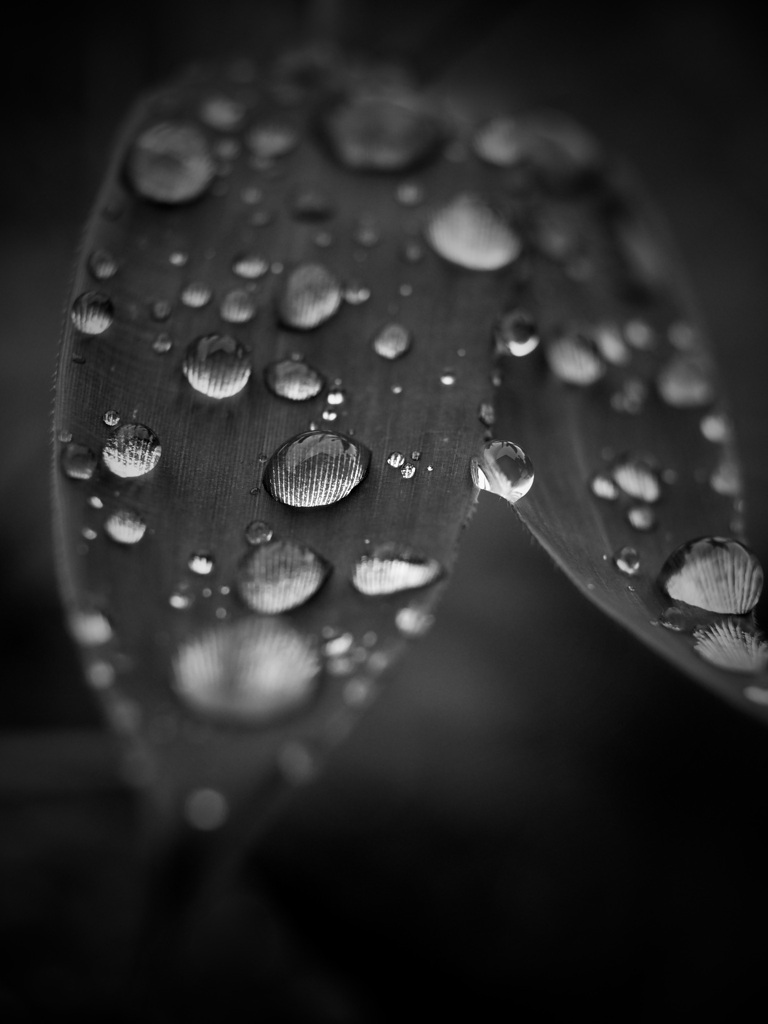 水滴