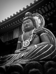 沈黙の光、知恵の体