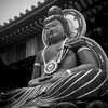 沈黙の光、知恵の体
