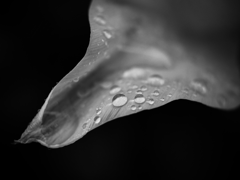 水滴