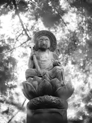 降り注ぐ慈悲心