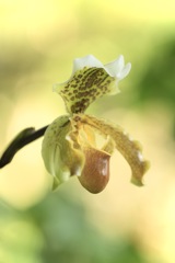 包み込むかたち