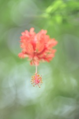 空間に溶け入る 空間に溶け入る