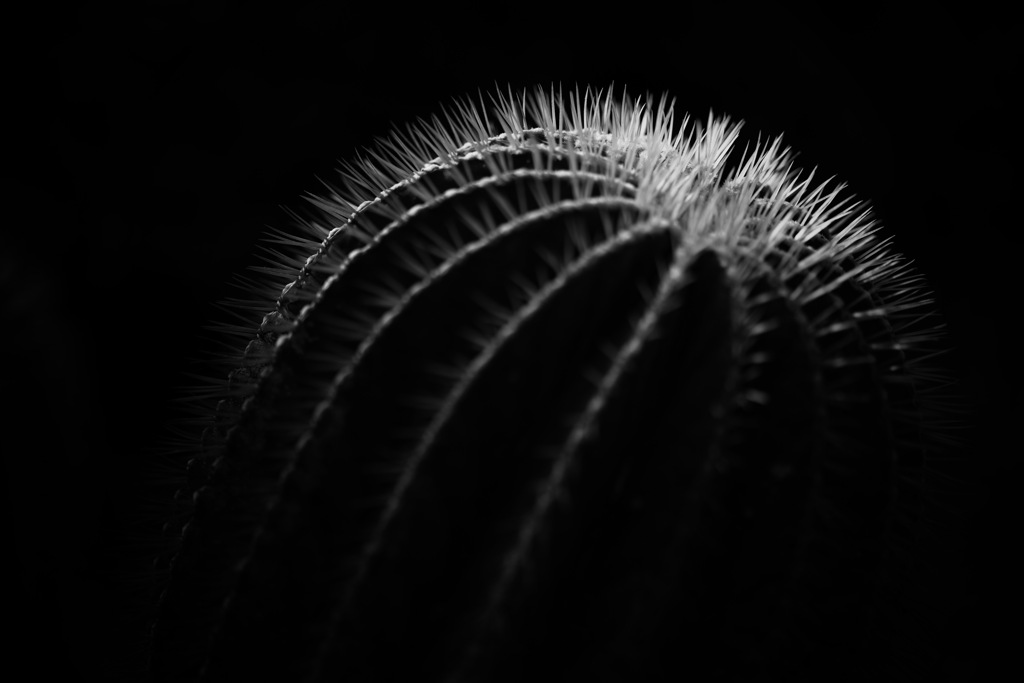 尖った主張、丸い主張