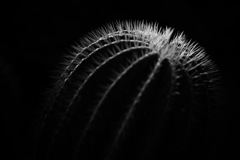 尖った主張、丸い主張