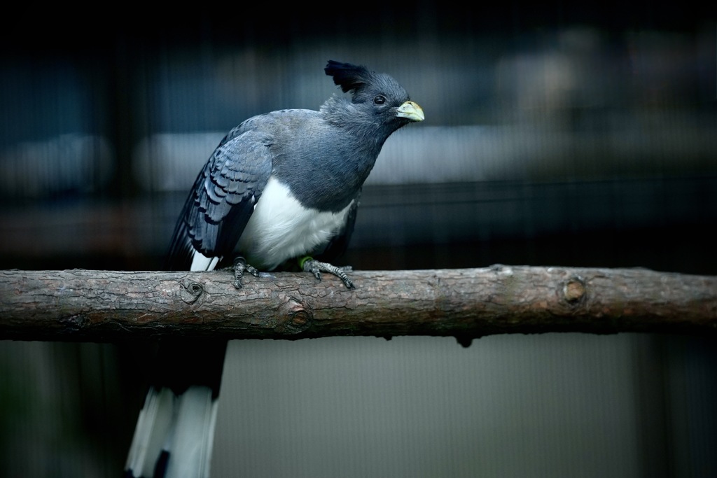 気になるそぶり