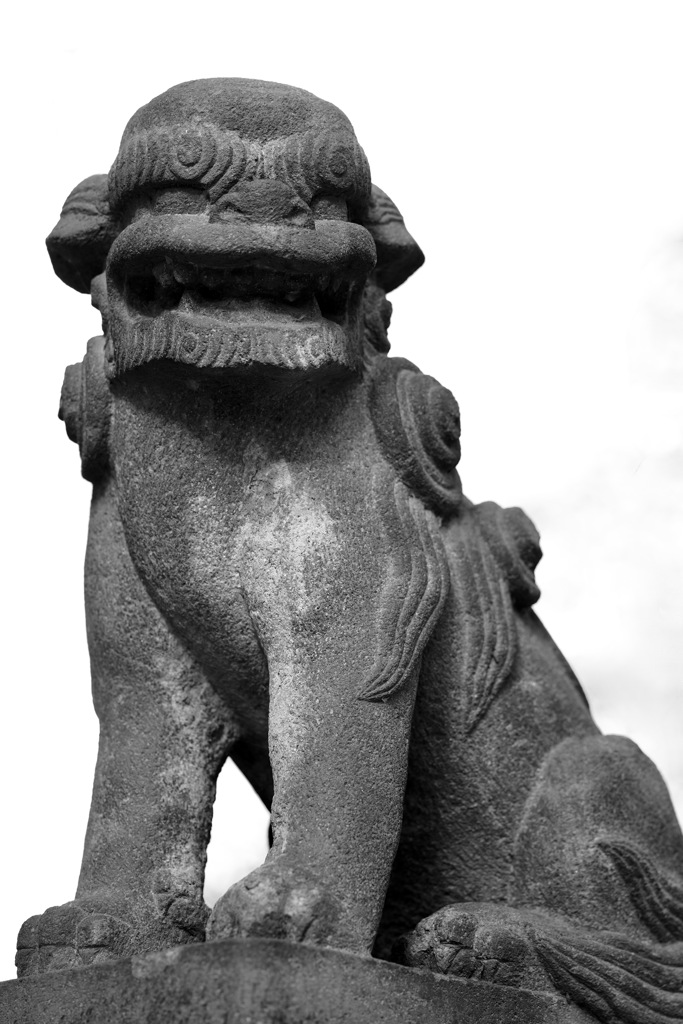 堅固な待ち受け