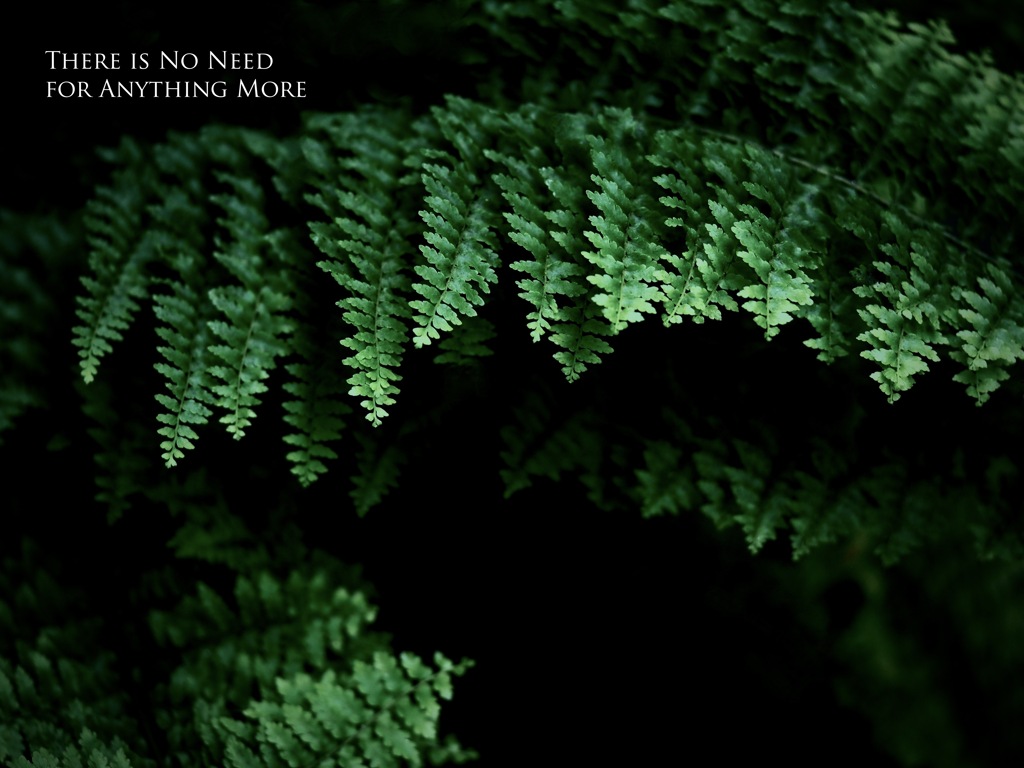 温室内の植物
