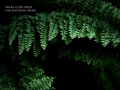 温室内の植物
