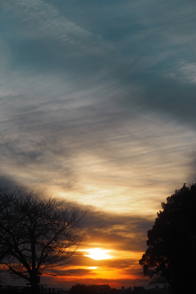 夕焼け