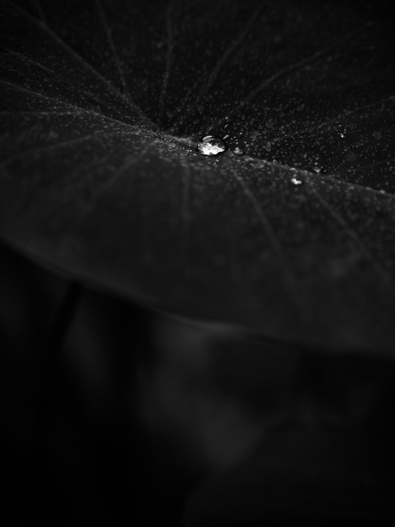 水滴