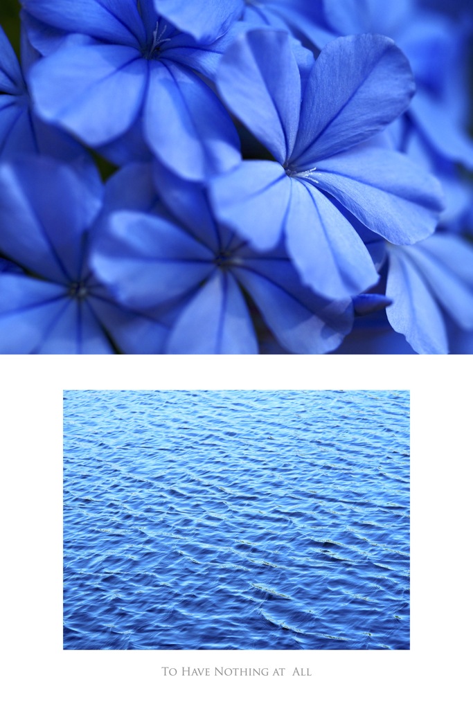 ルリマツリ／池の水面（組み写真）