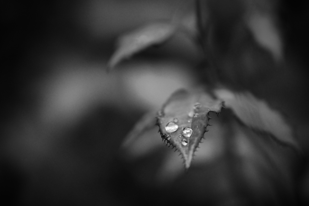 水滴