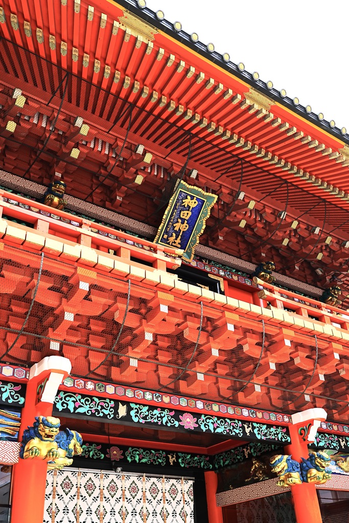 緻密の集合