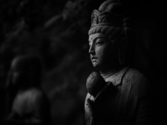 無言のまなざしがすべてを物語る