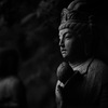 無言のまなざしがすべてを物語る