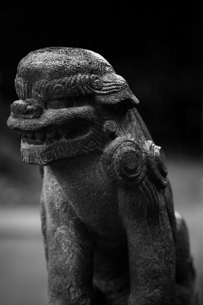 雨中の見張り