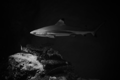 岩場のスポットライト