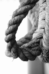 うねり編まれる