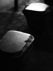 銀座スナップ