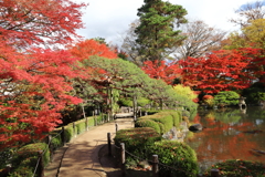 山形市宝幢寺 もみじ公園