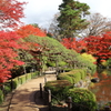 山形市宝幢寺 もみじ公園