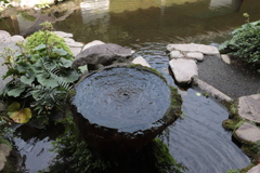 鹿児島　仙巌園　お水