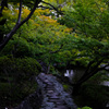 和歌山城６