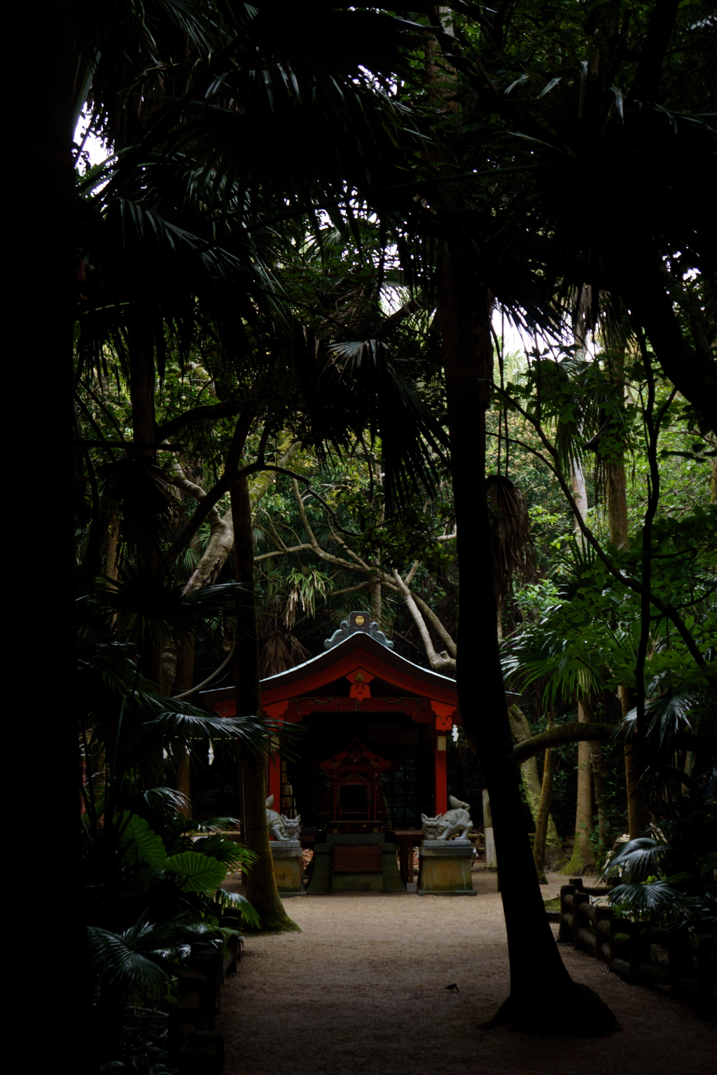 青島神社１０