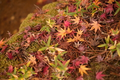 竹田