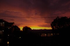 今日の夕陽です