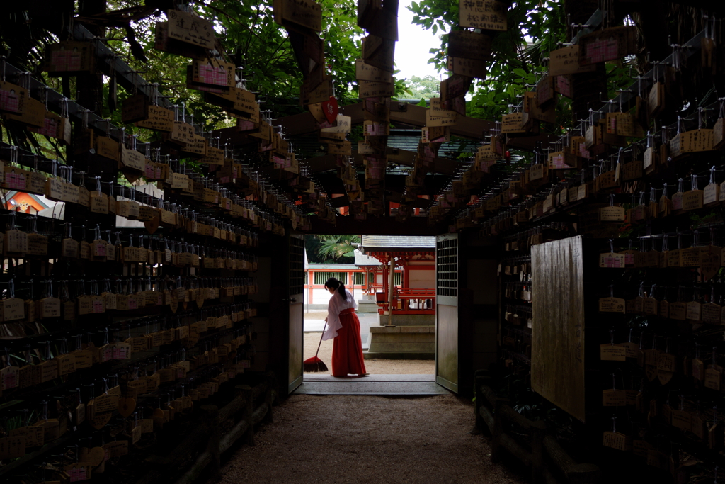 青島神社９