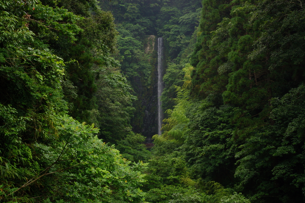 八戸観音滝５