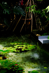緑化植物園４