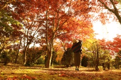 紅葉と