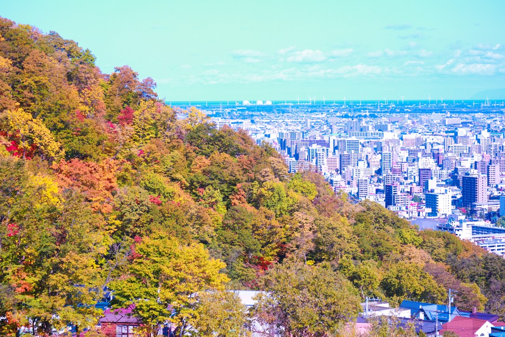 札幌と紅葉