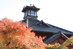 秋