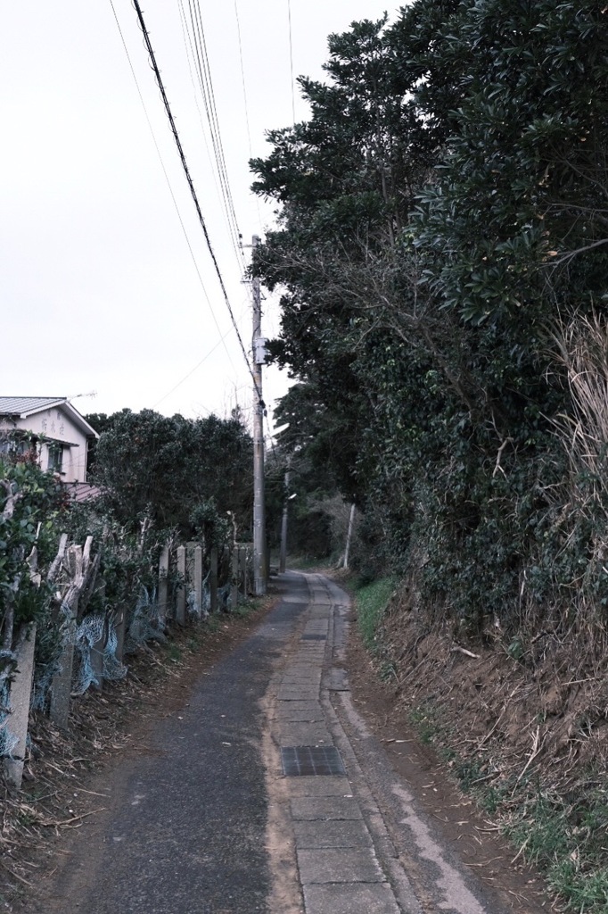 日本のとある小道