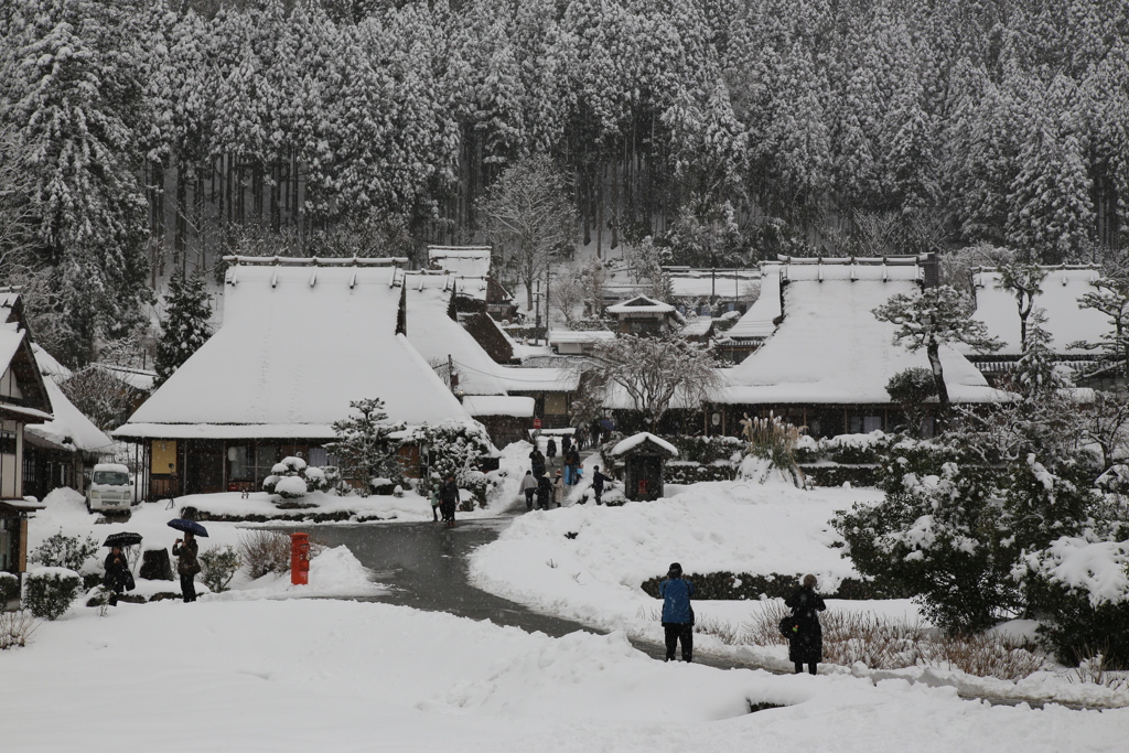 美山の冬
