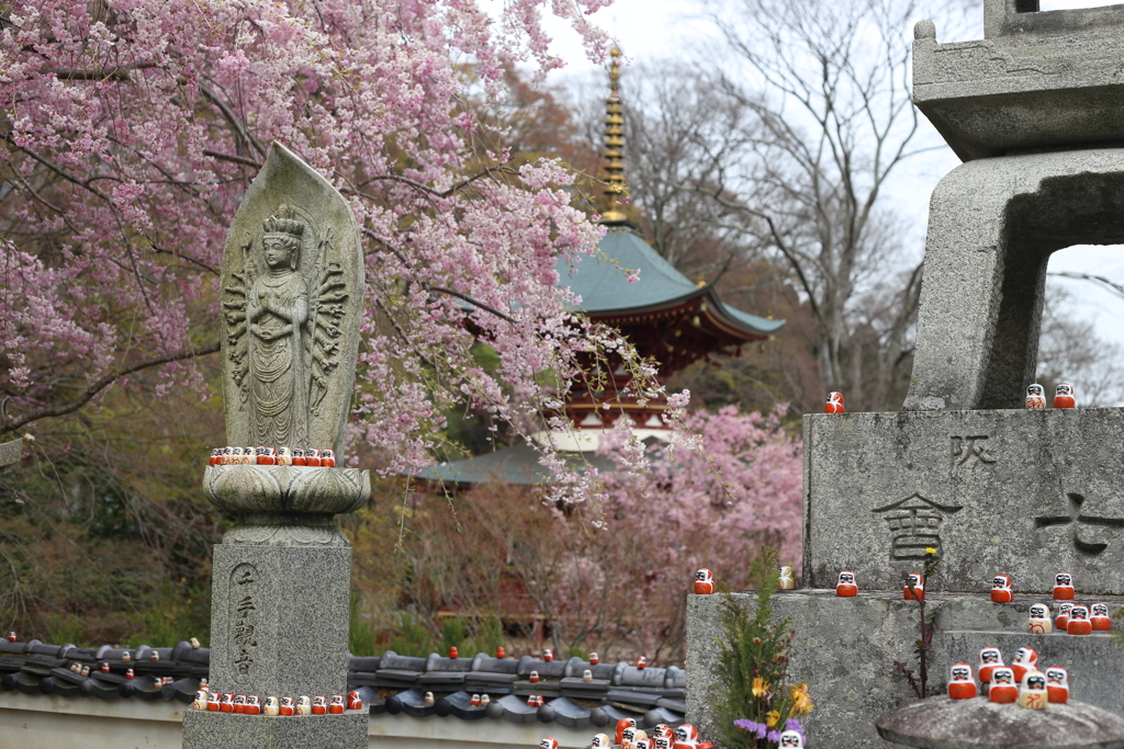 勝尾寺の春