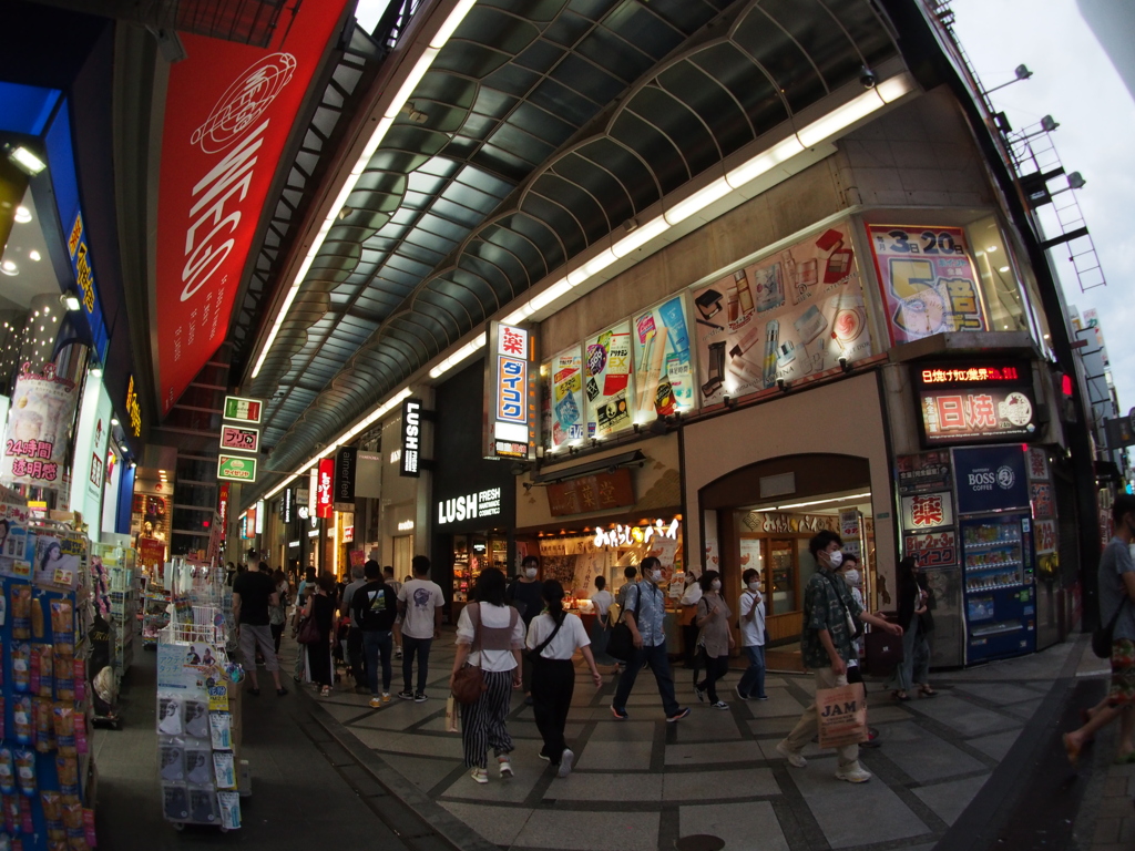 魚眼の世界