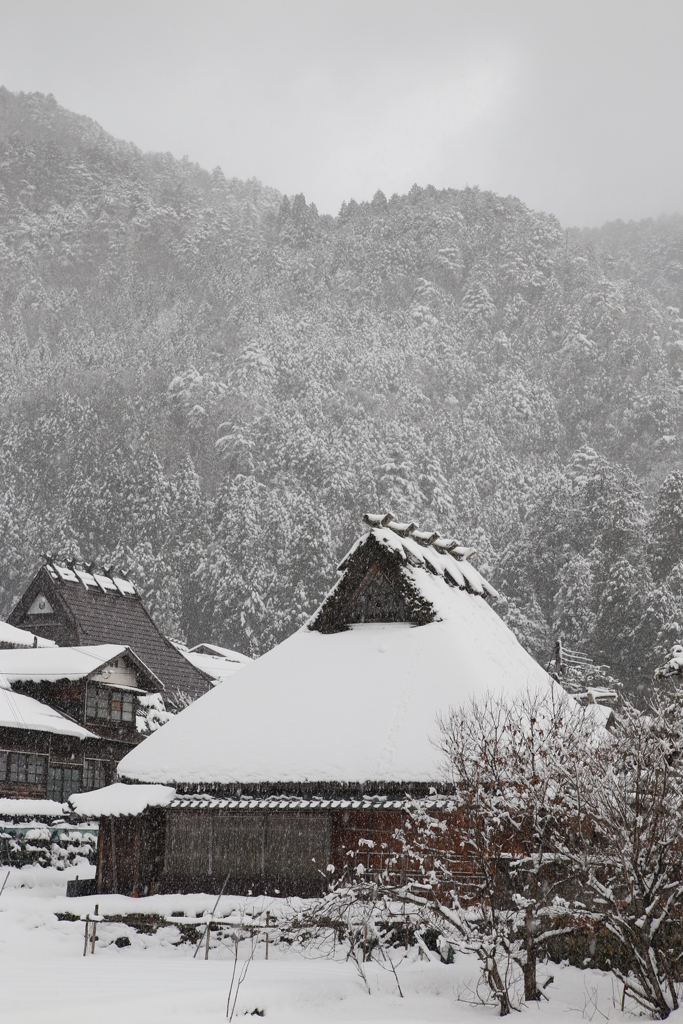 吹雪の中