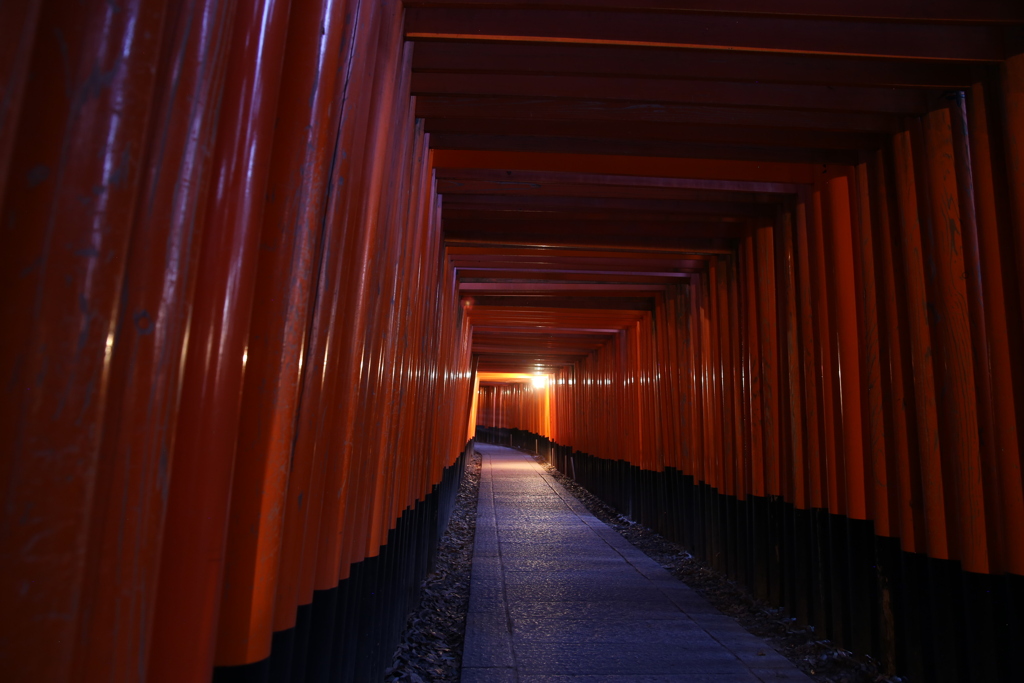 千本鳥居　夜景