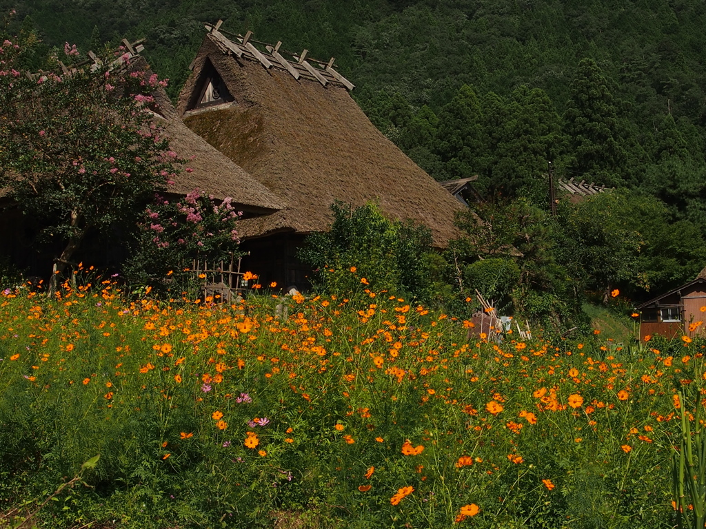 花のある風景