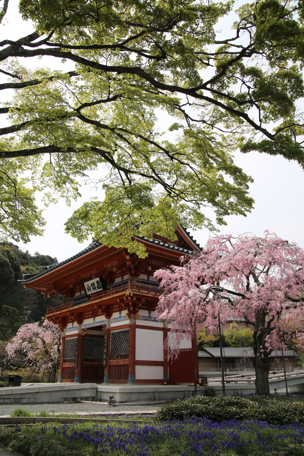 勝尾寺山門にて