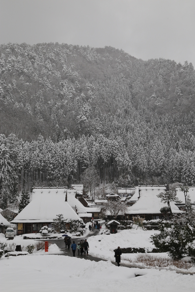 雪景