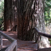 Northern California #6