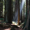 Northern California #4