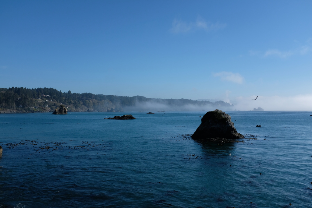Northern California #2